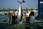 pesca01.jpg (27kb)
